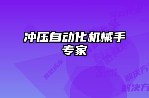 沖壓自動(dòng)化機(jī)械手專(zhuān)家