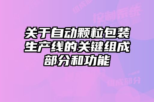 關(guān)于自動(dòng)顆粒包裝生產(chǎn)線(xiàn)的關(guān)鍵組成部分和功能