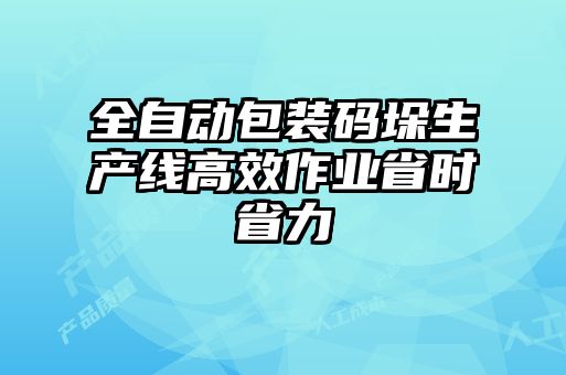 全自動包裝碼垛生產線高效作業(yè)省時省力